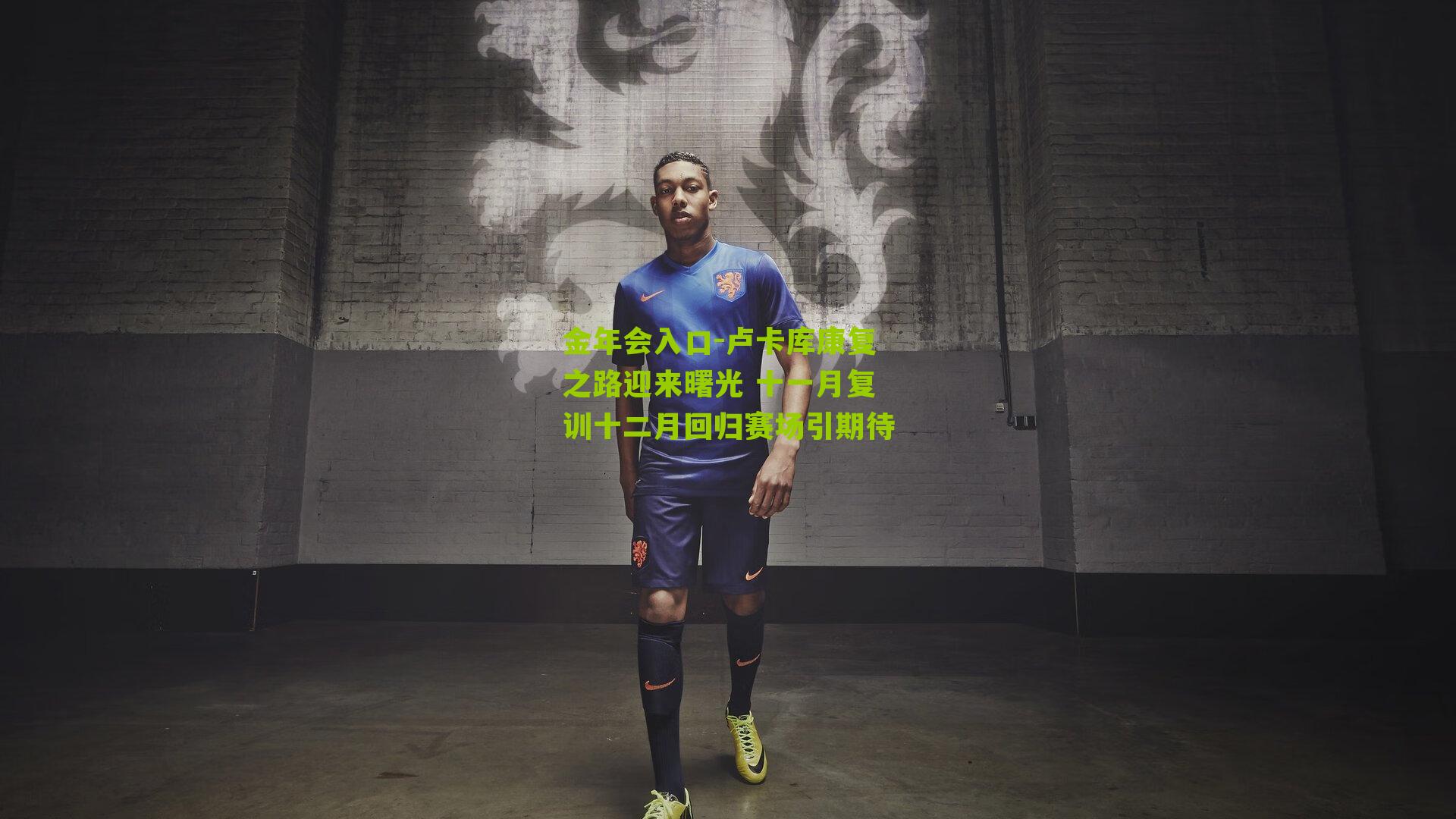 卢卡库康复之路迎来曙光 十一月复训十二月回归赛场引期待