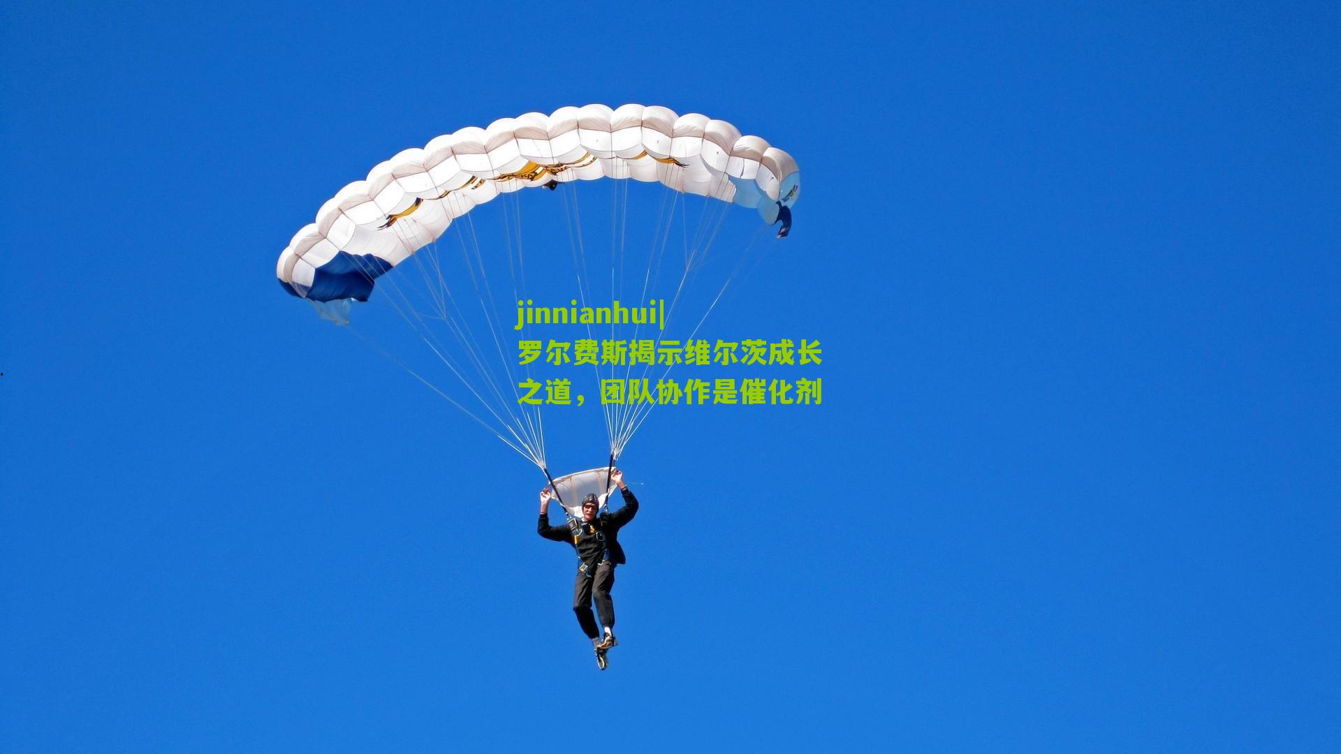 罗尔费斯揭示维尔茨成长之道，团队协作是催化剂